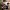 Unsere pfiffigen Gäste Unsere pfiffigen Gäste